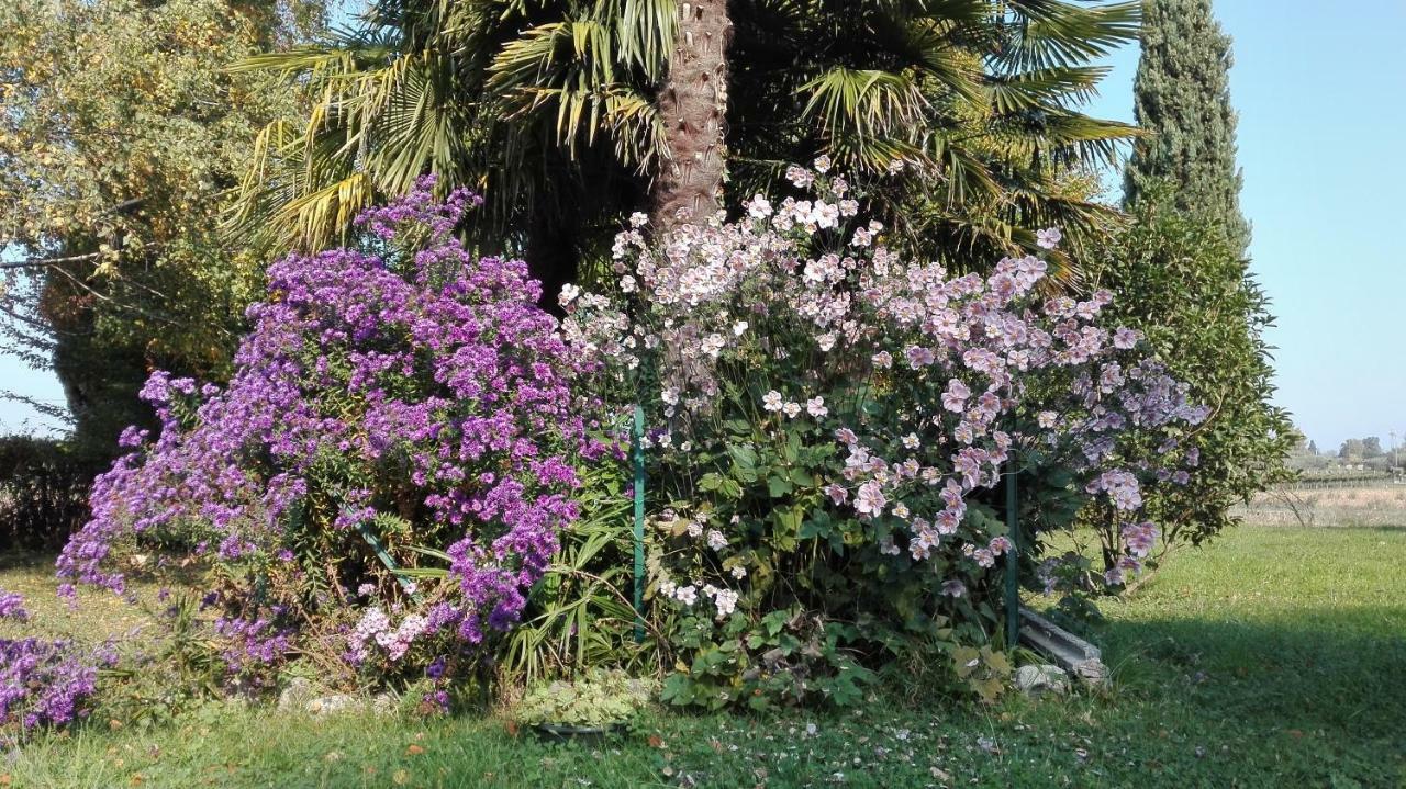 B&B Da Miriam Castelnuovo del Garda Exteriör bild